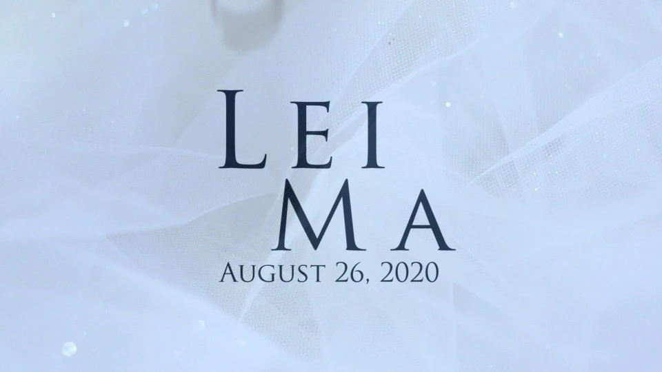 2020.08.26 LEI + MA